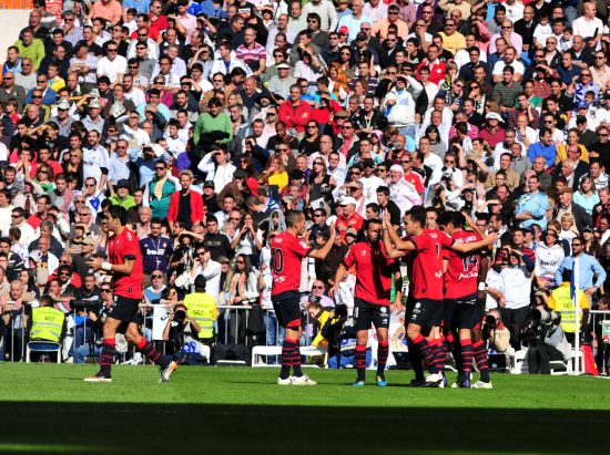 在国际泳联 在国际泳联